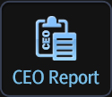 CEO Report